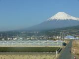 0273 vue du train Mont Fuji 