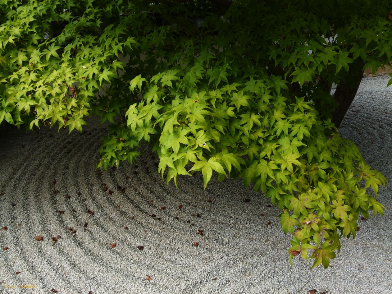 D Kyûshû 022 Daizaifu jardin zen du temple Kômyôzen-ji 