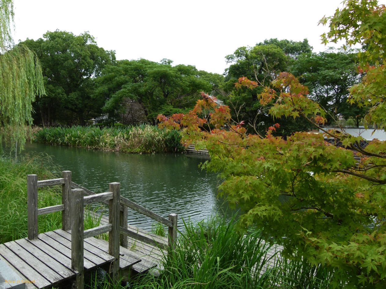 D Kyûshû 032 Yanagawa 