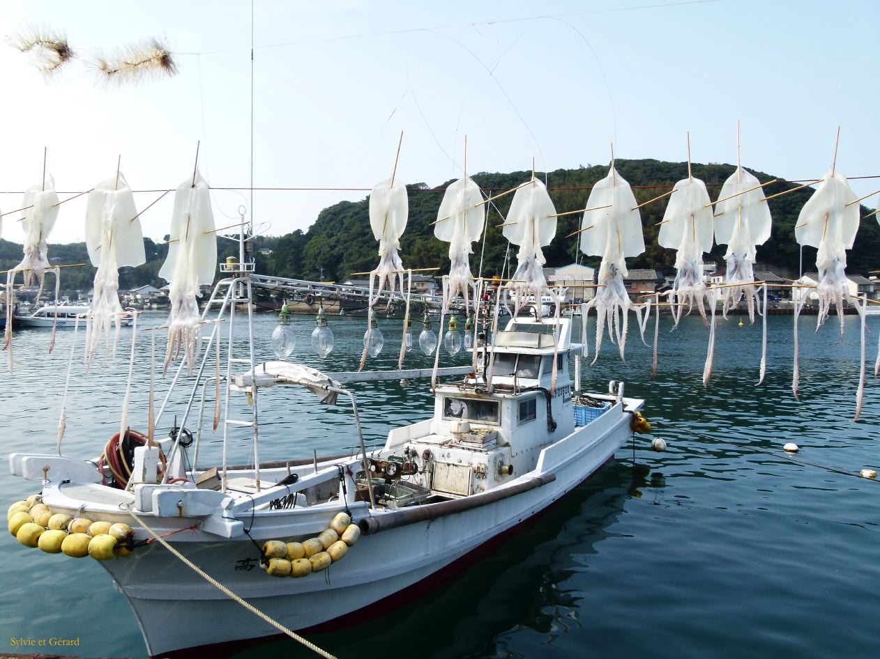 D Kyûshû 041 Yobuko spécialité la seiche 