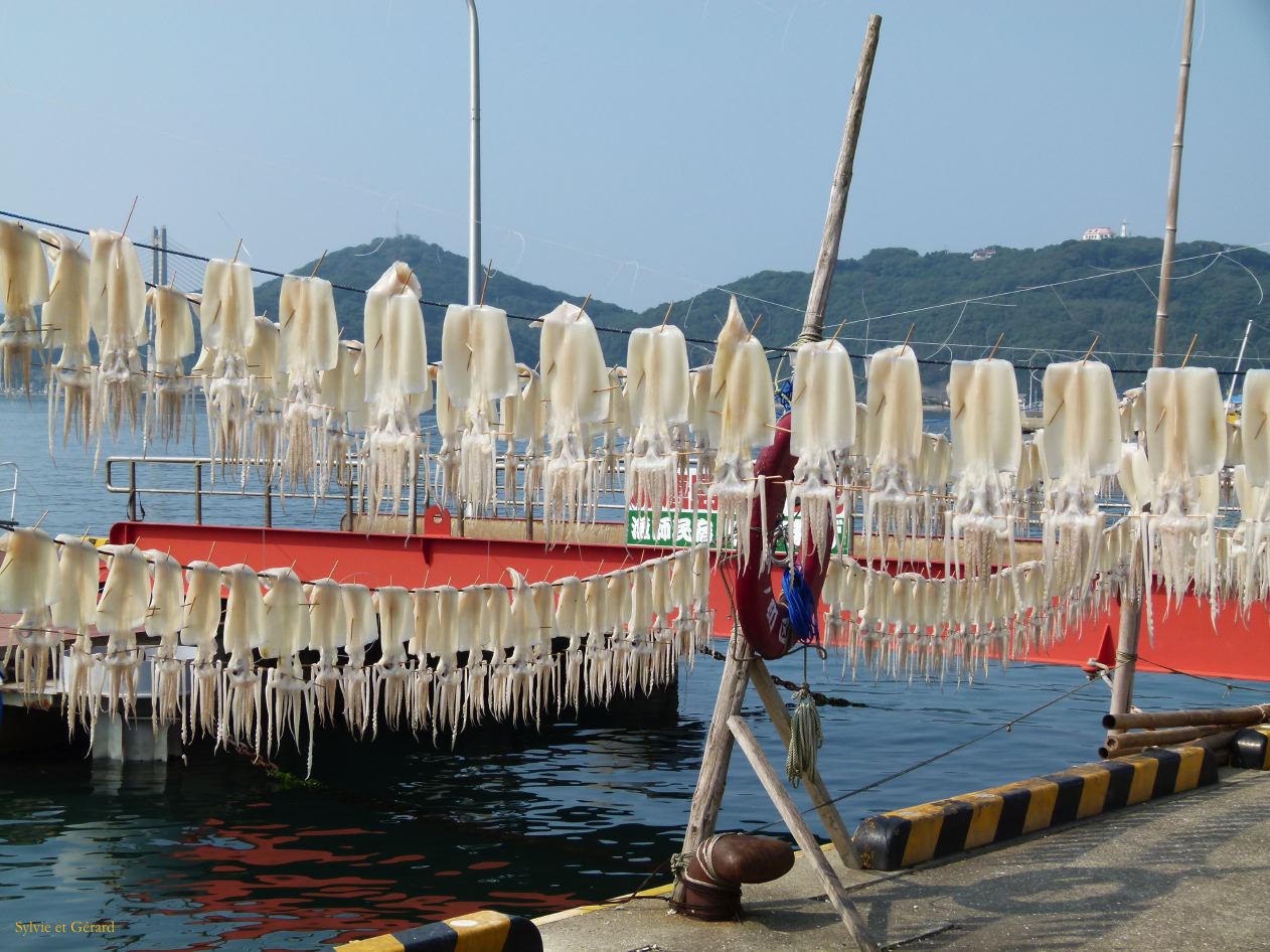 D Kyûshû 043 Yobuko 