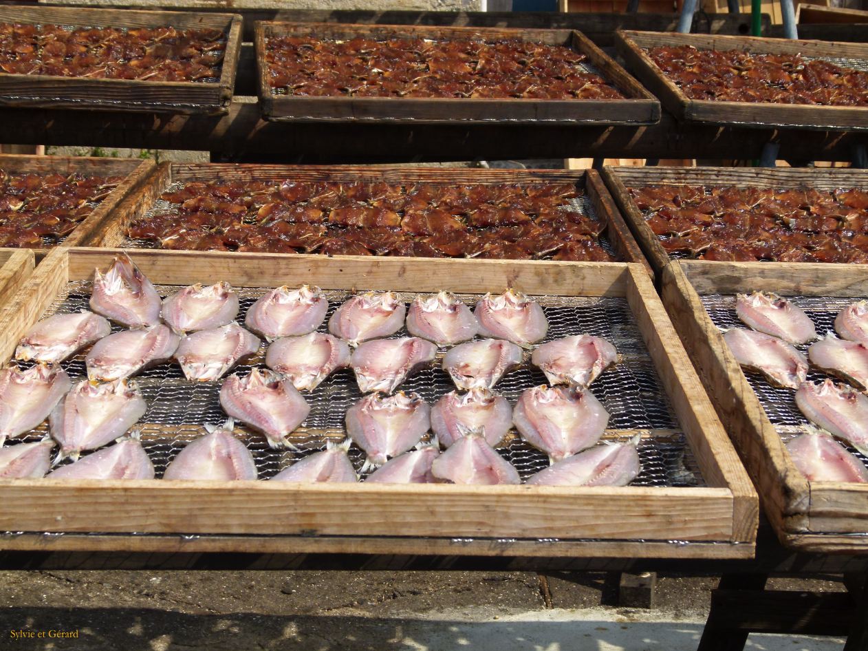 D Kyûshû 045 Yobuko 