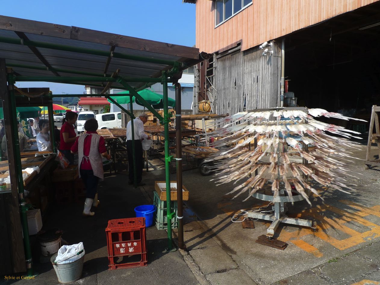 D Kyûshû 049 Yobuko 