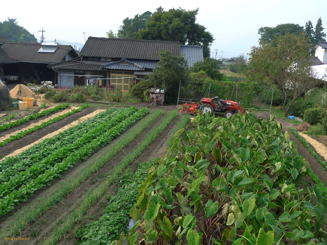 D Kyûshû 071 Aso jardin d'une ferme 