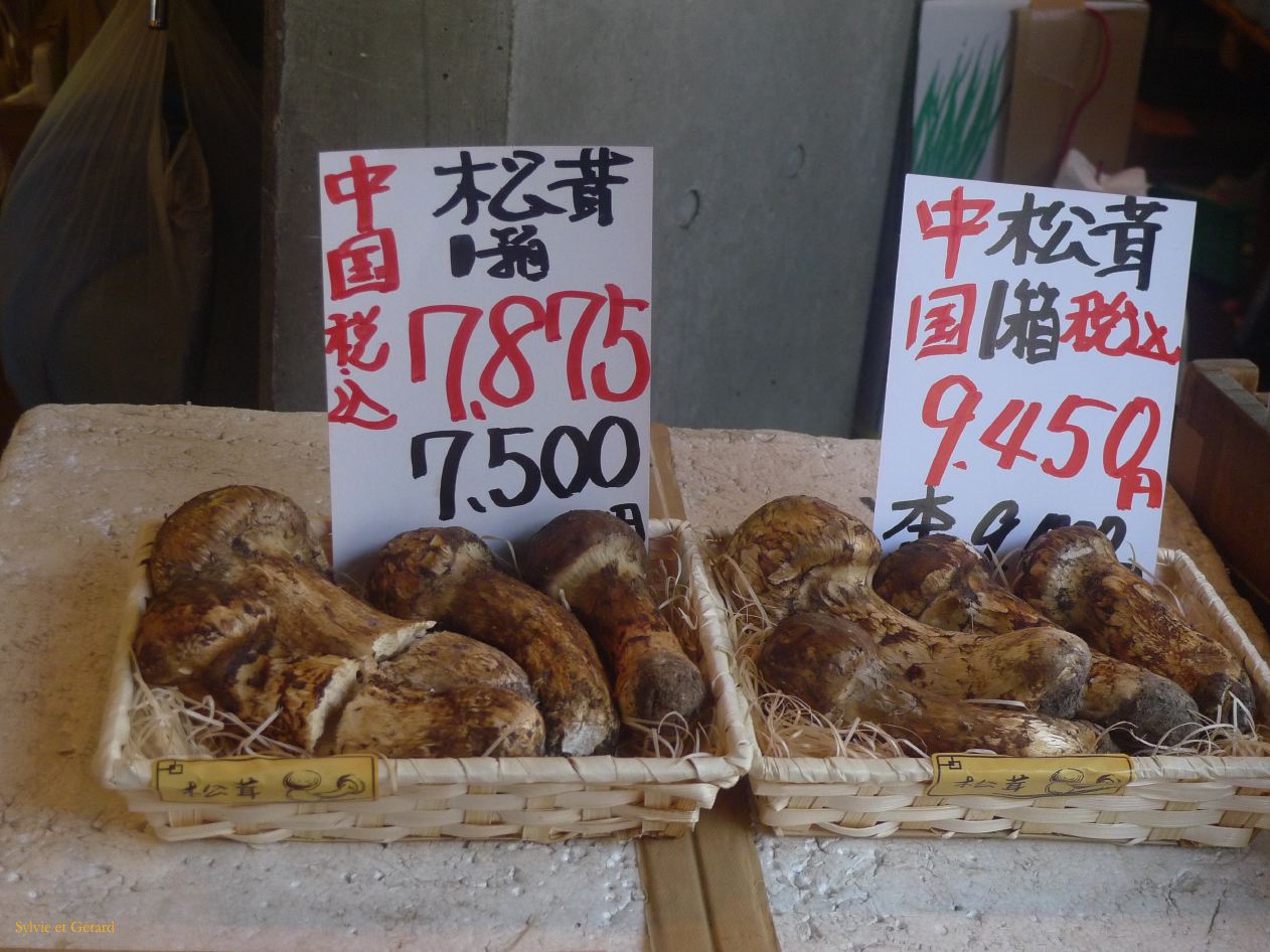A Tokyo 026 quartier Tsukiji le marché aux poissons champignons matsutake