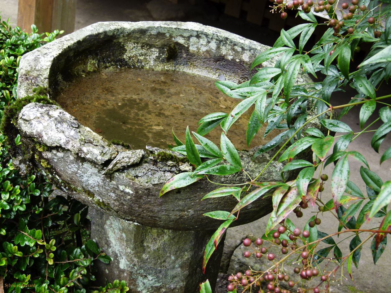 D Kyûshû 106 Chiran maisons de samourais 