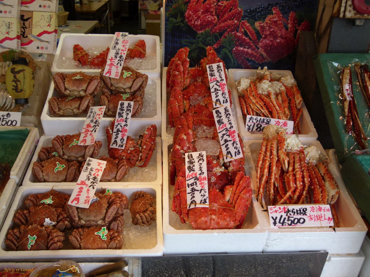 E Hokkaido 007 Sapporo marché Nijô 