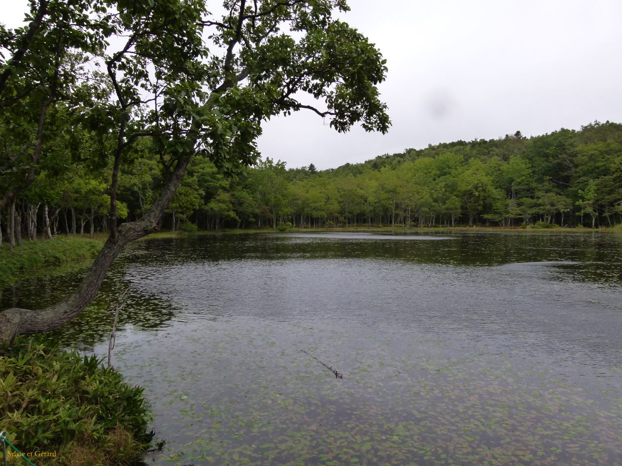 E Hokkaido 027 Abashiri Parc Shiretoko les 5 lacs