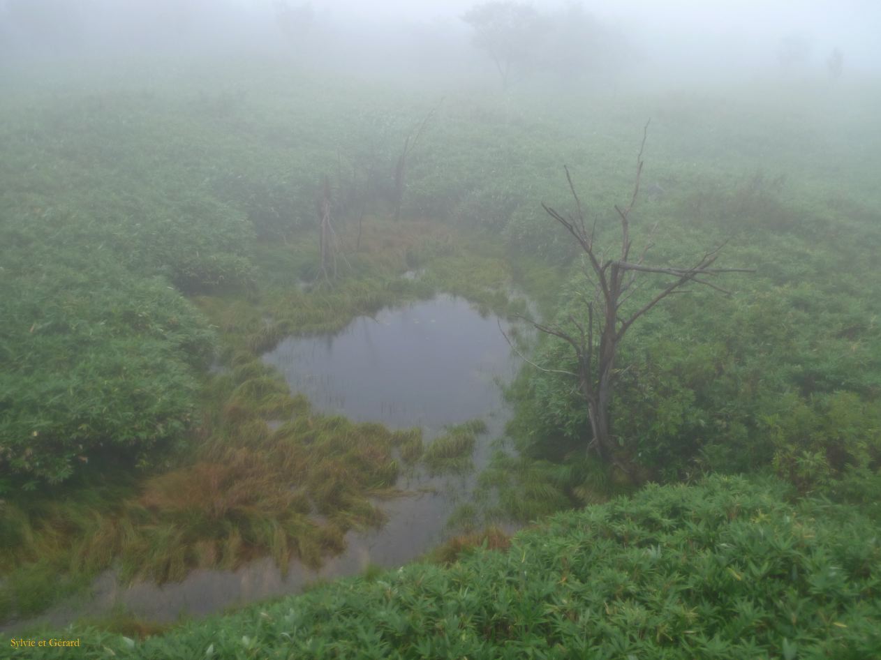 E Hokkaido 030 Abashiri Parc Shiretoko les 5 lacs il pleut à verse