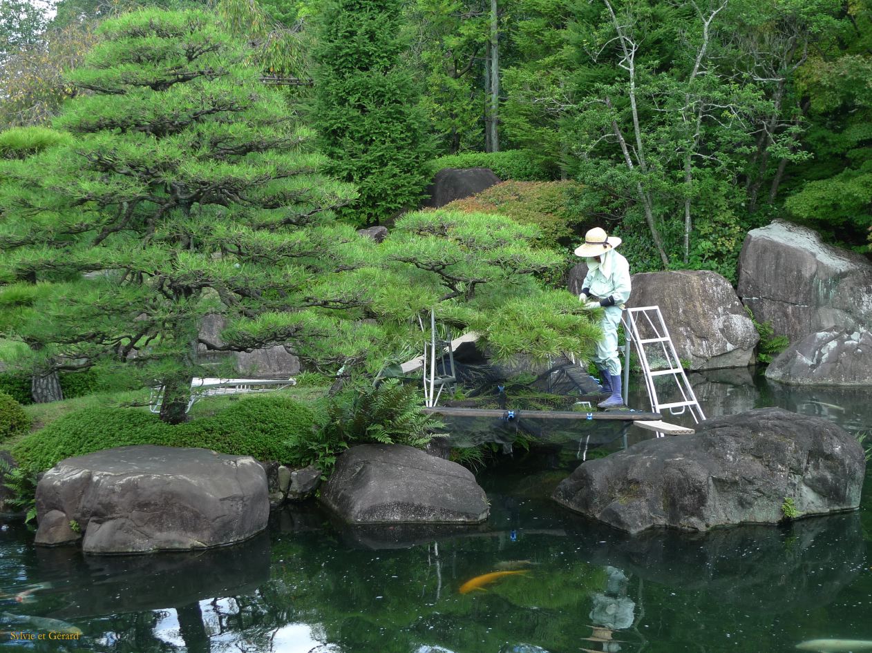 B Kansai 012 Himeji Parc Kôko-en épilation des arbres