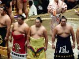 A Tokyo 035 quartier Asakusa le stade et combat de sumos