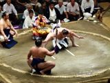 A Tokyo 036 quartier Asakusa le stade et combat de sumos