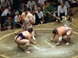A Tokyo 040 quartier Asakusa le stade et combat de sumos