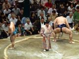 A Tokyo 043 quartier Asakusa le stade et combat de sumos