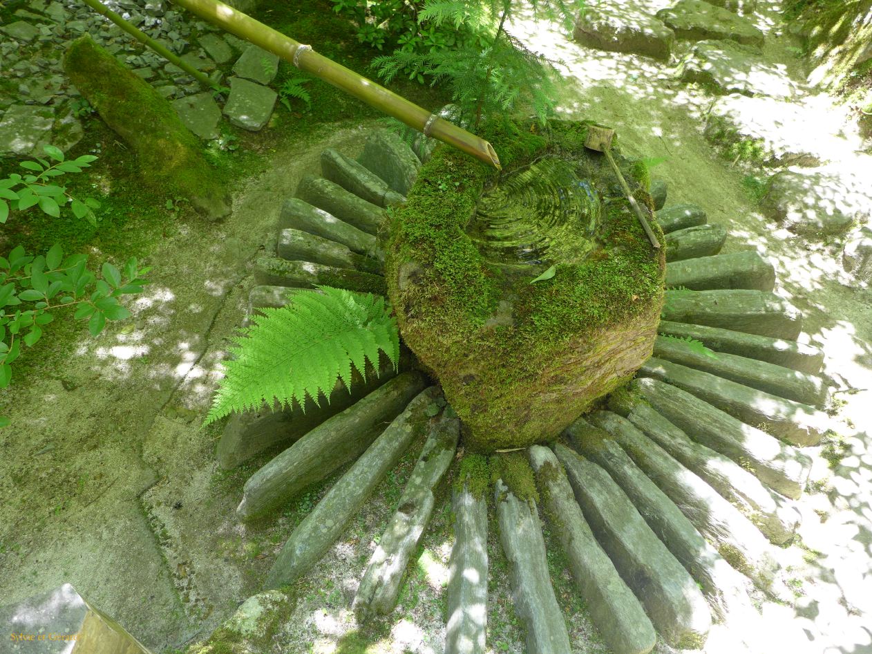 F Ohara 8 maison de thé 