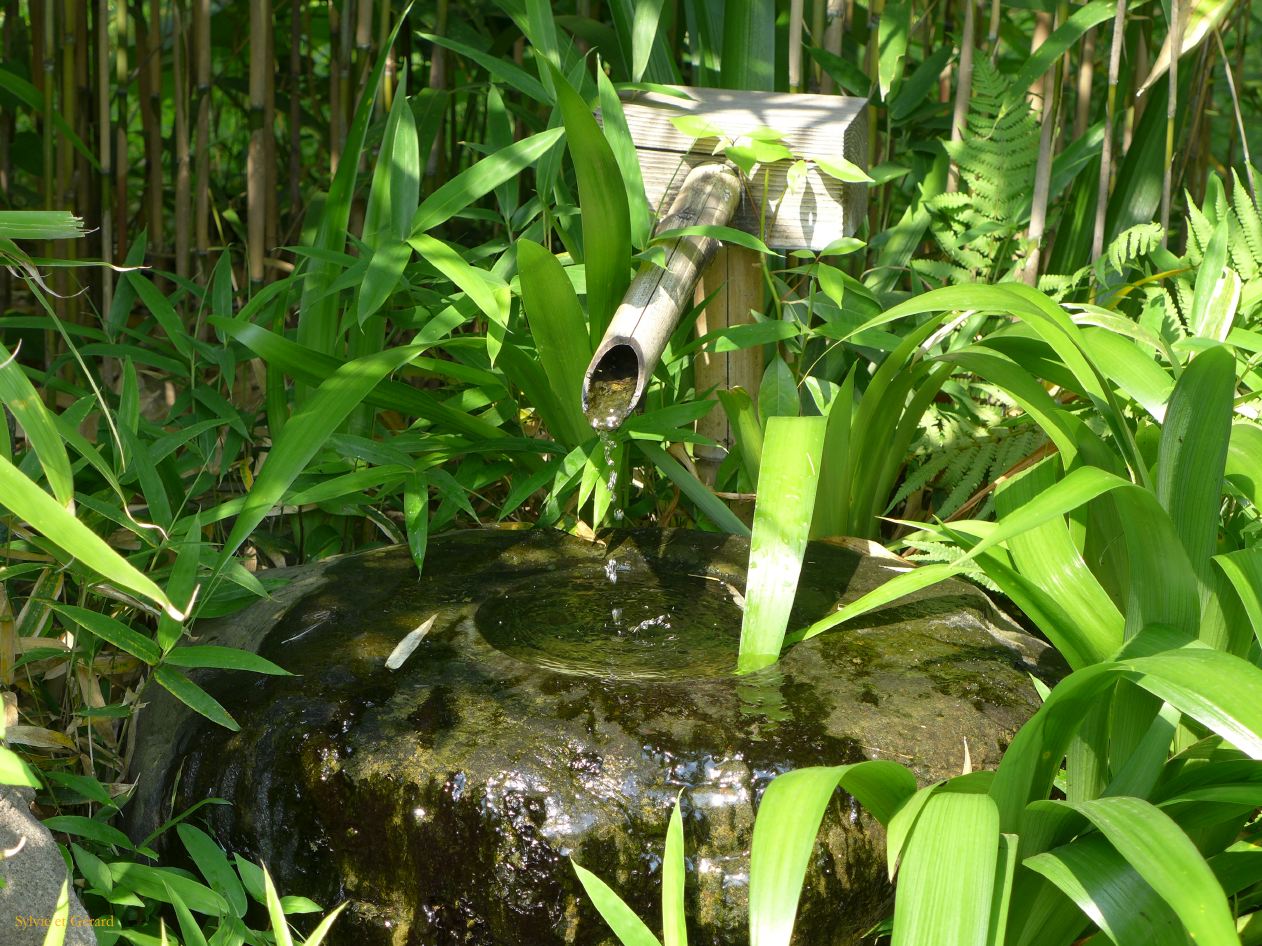 G Himeji 12 le jardin Koko En 