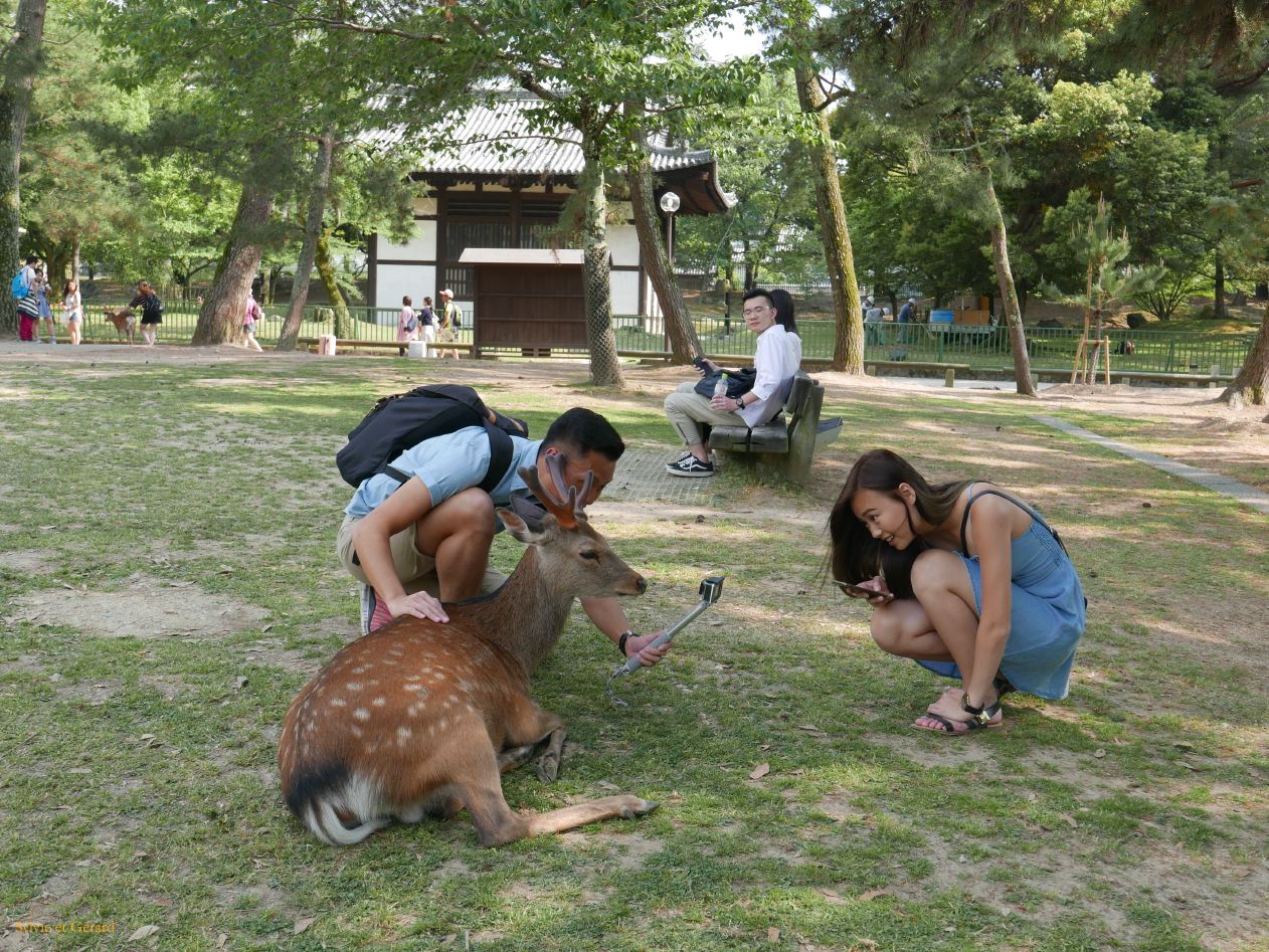 H Nara 12 le parc 
