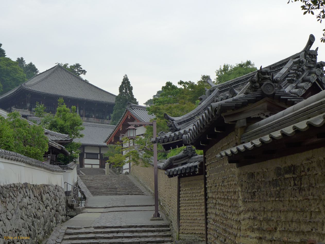 H Nara 13b Collines Wakakusayama et ses temples