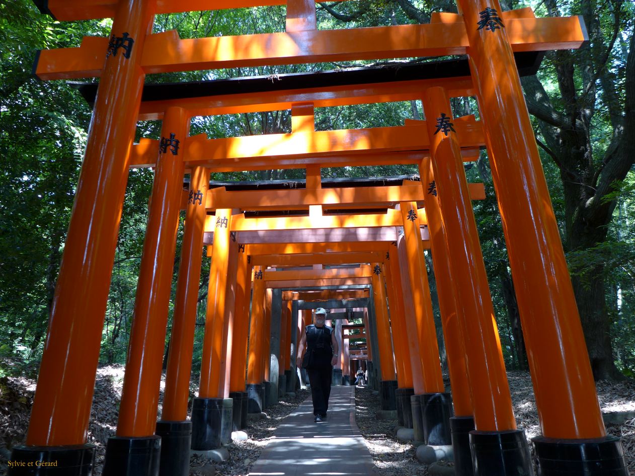 B Kyoto 11 Fushimi Inari Taisha Shrine 