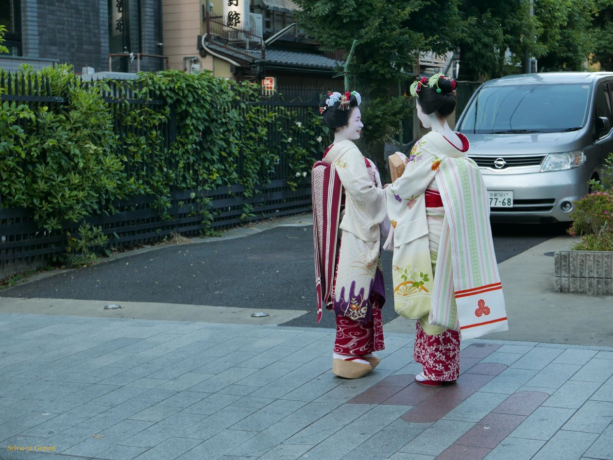 C Kyoto Gion 19 Geishas 