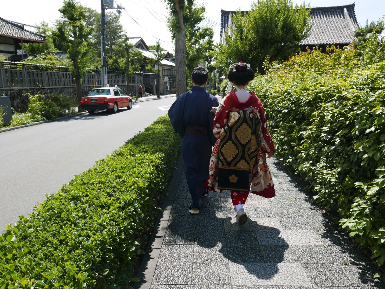 D Kyoto Kodaji Temple 8 