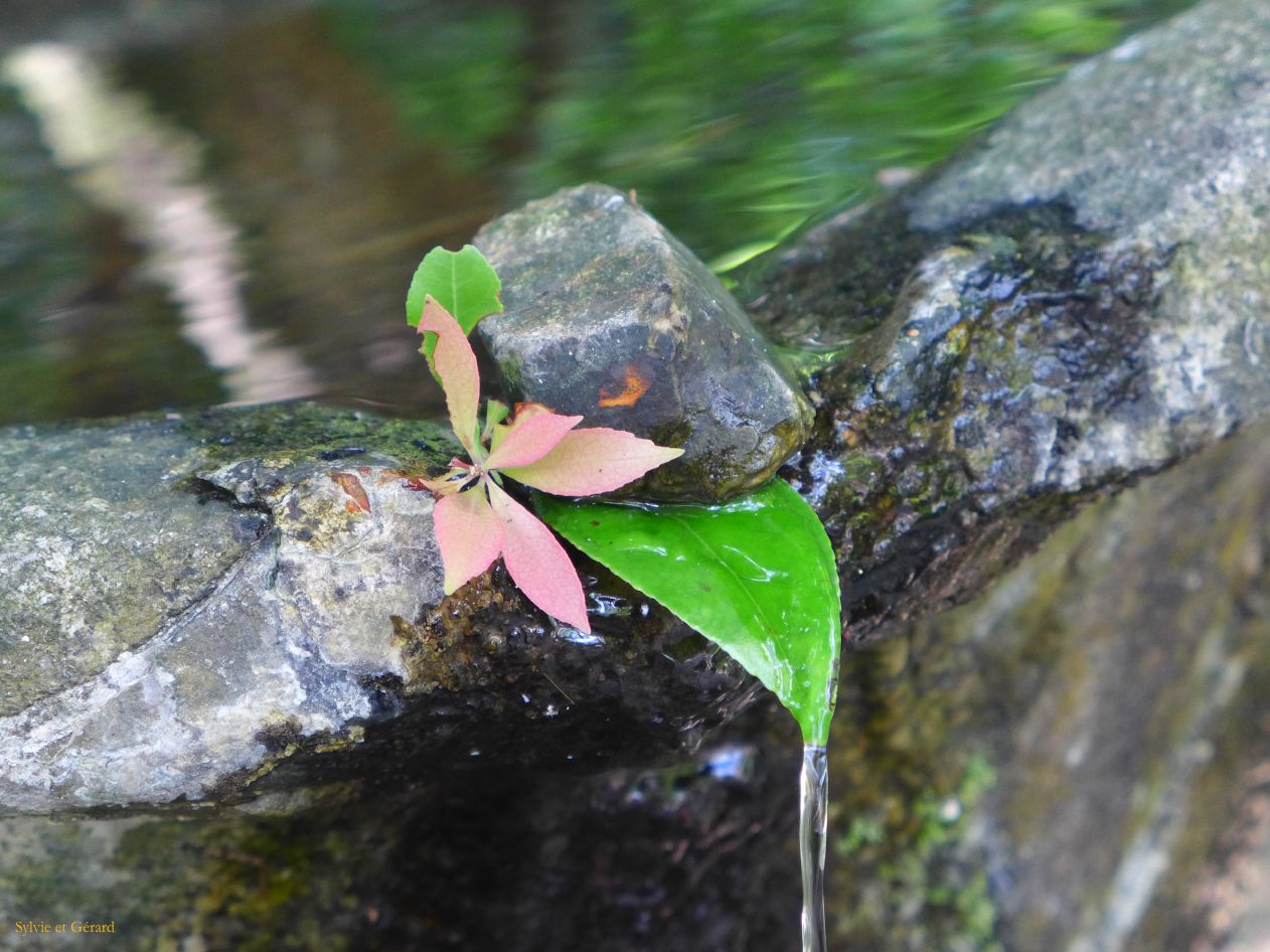 A Kyoto 9 chemin de la Philosophie Honen in