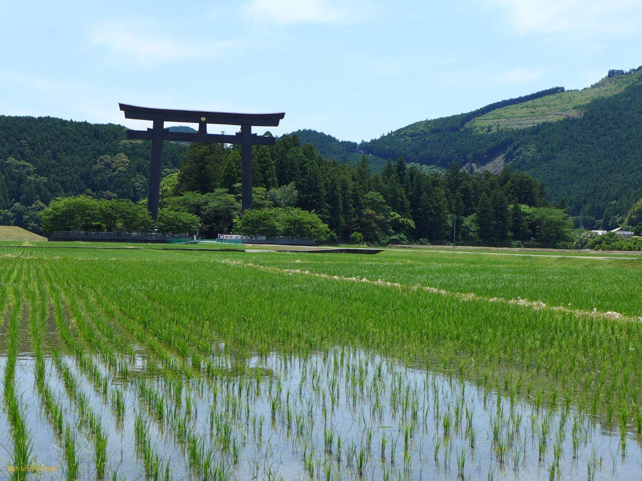 D Kumano Kodo  Hongu Taisha 1 