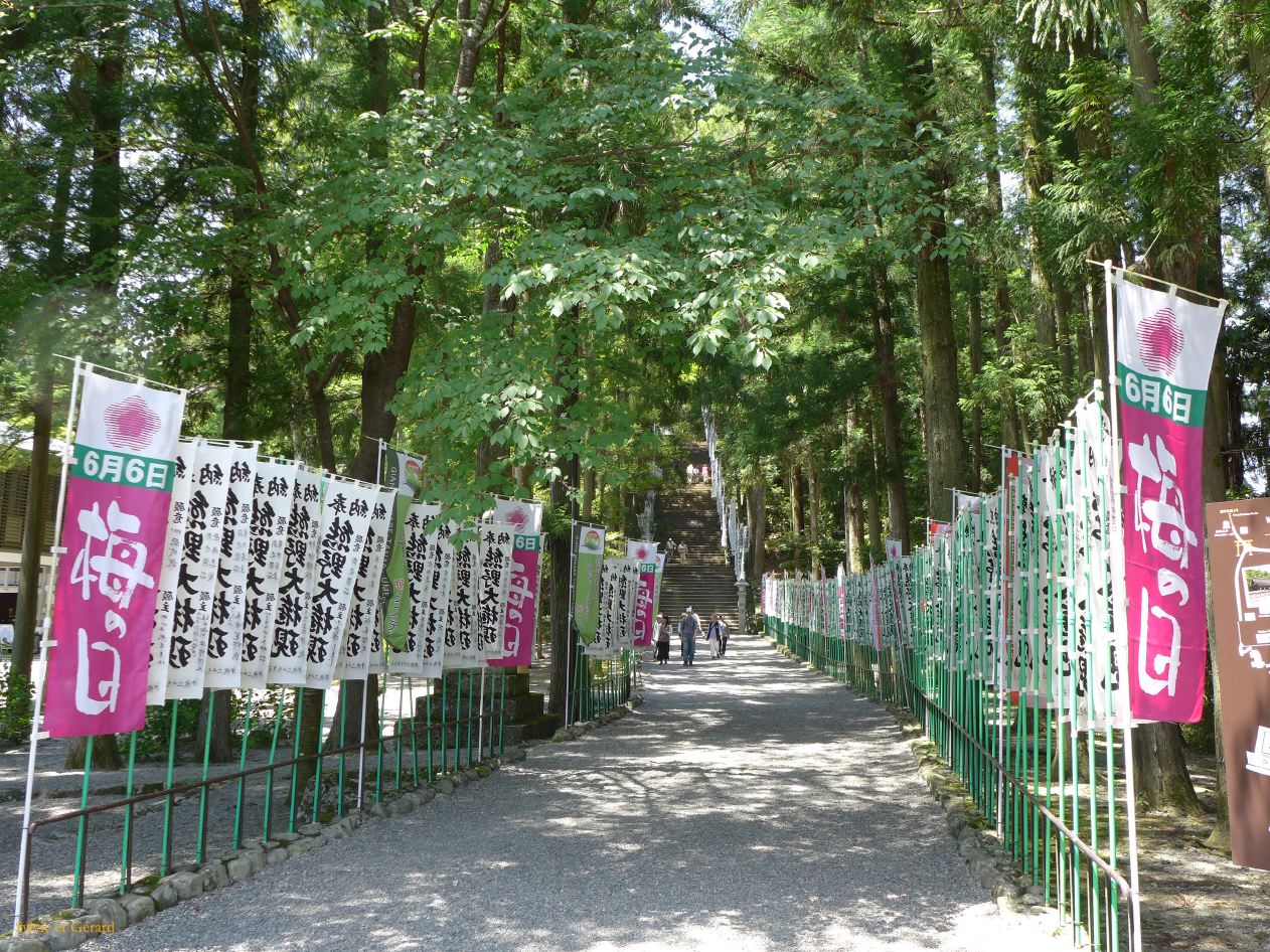 D Kumano Kodo  Hongu Taisha 5 