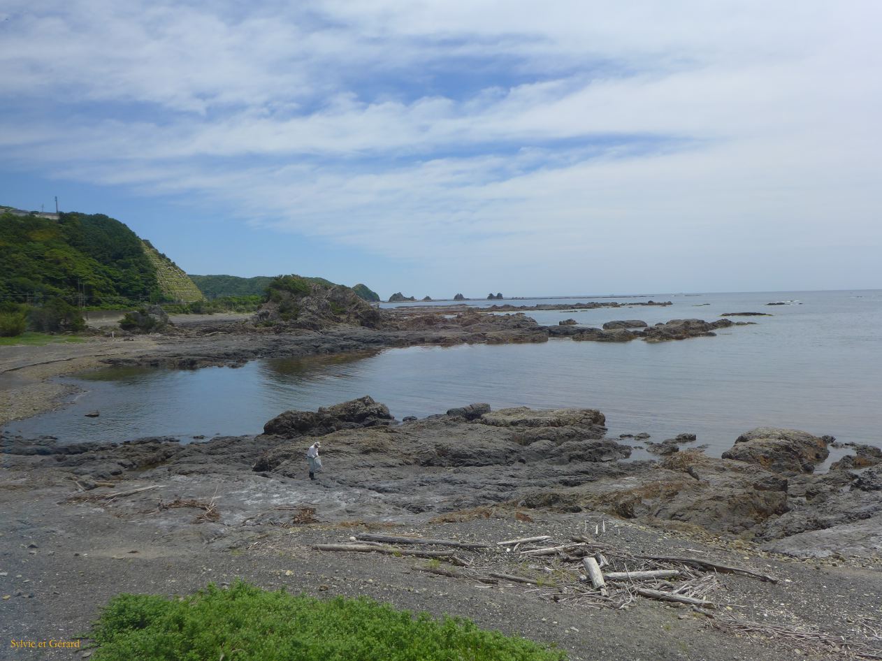 D Kushimoto Taji la côte vue du train 