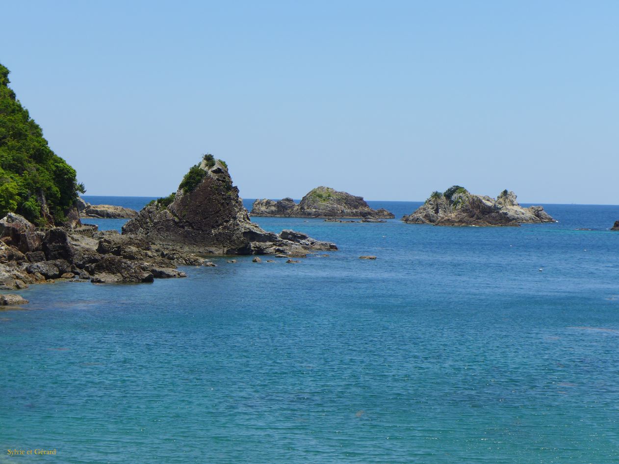 D Taiji 5 