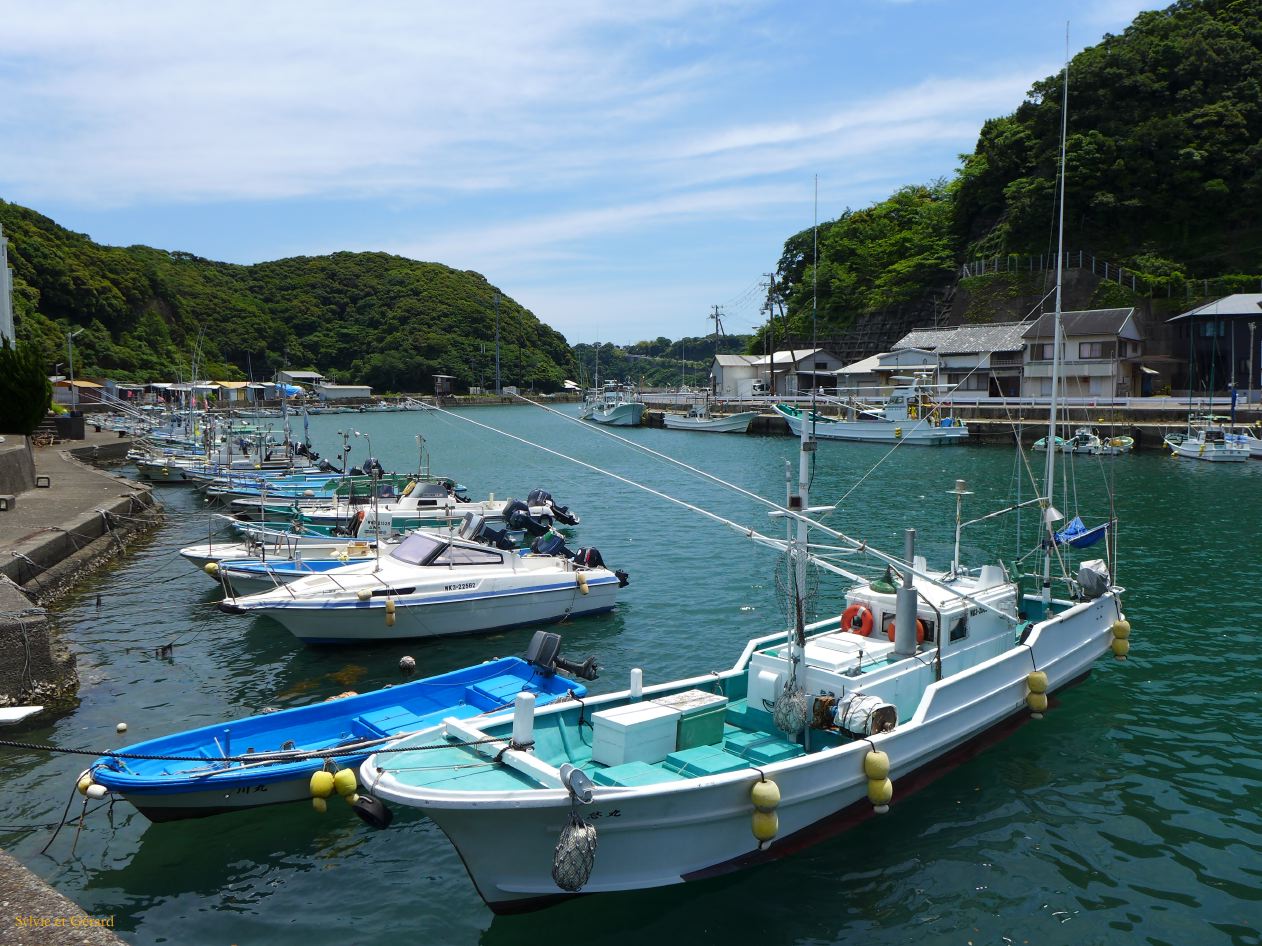 D Taiji 6 tristement célèbre pour la chasse aux dauphins