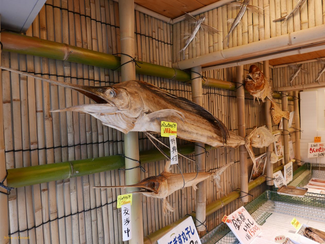 E Ise Shi dans la ville Oharaimachi 10 