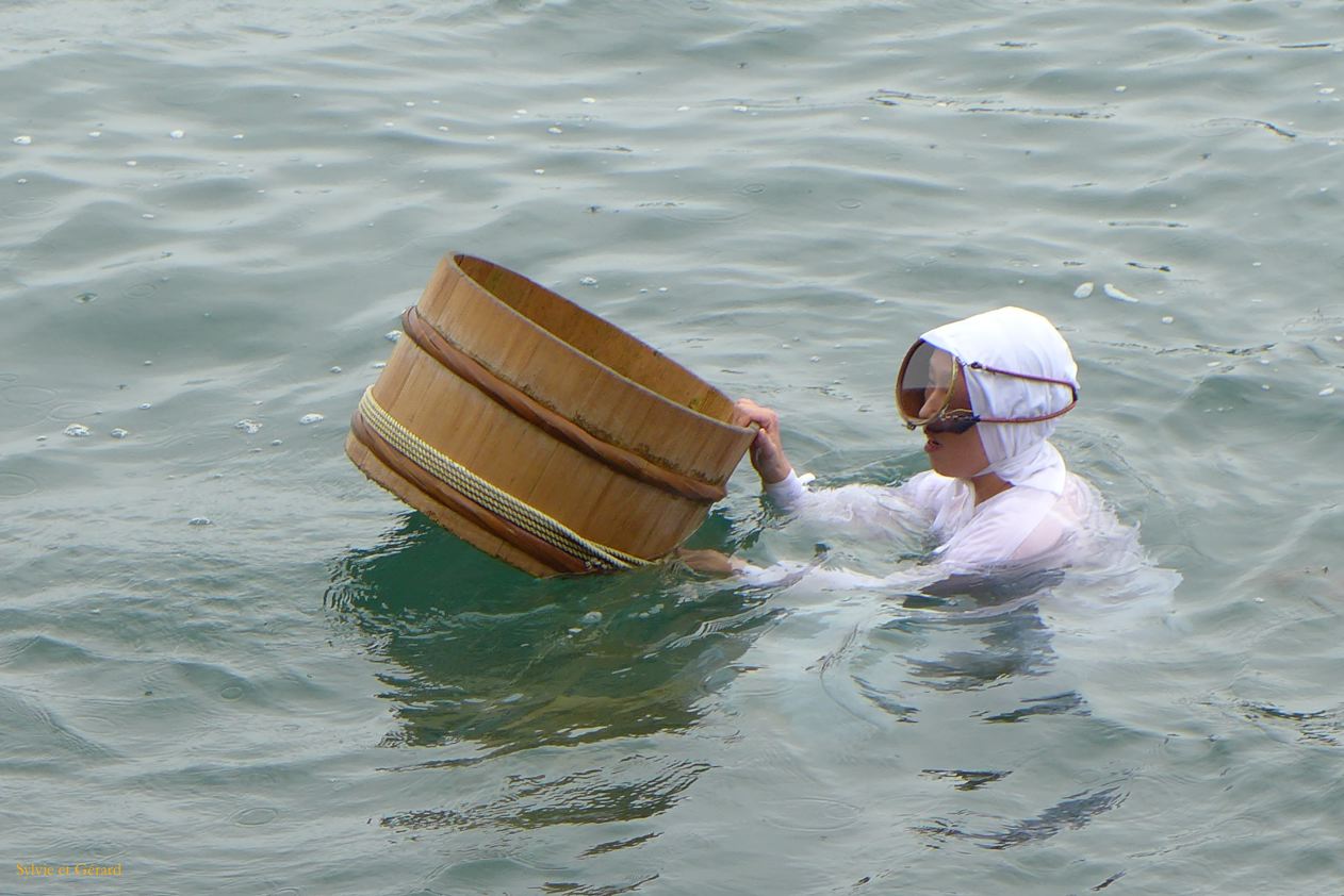 E Toba 7 musée de la perle ile Mikimoto Amas en spectacle