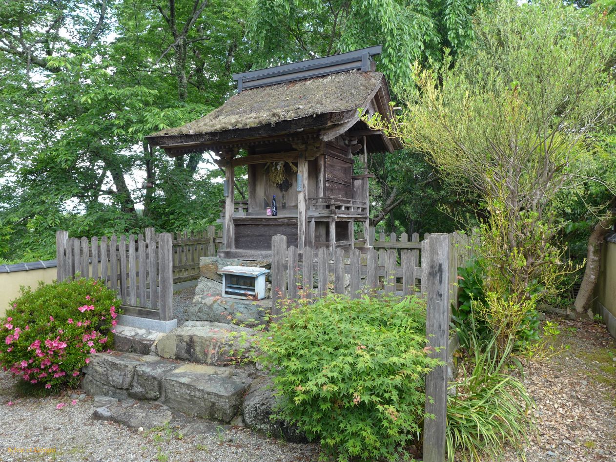 A Yoshino 22 dans la rue du village 