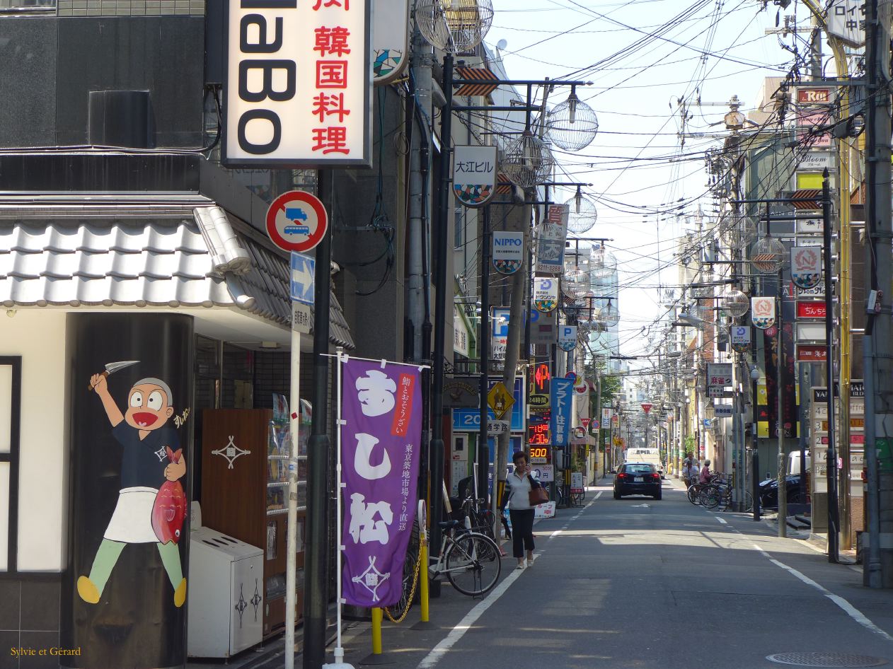 F Osaka Dotombori 12 