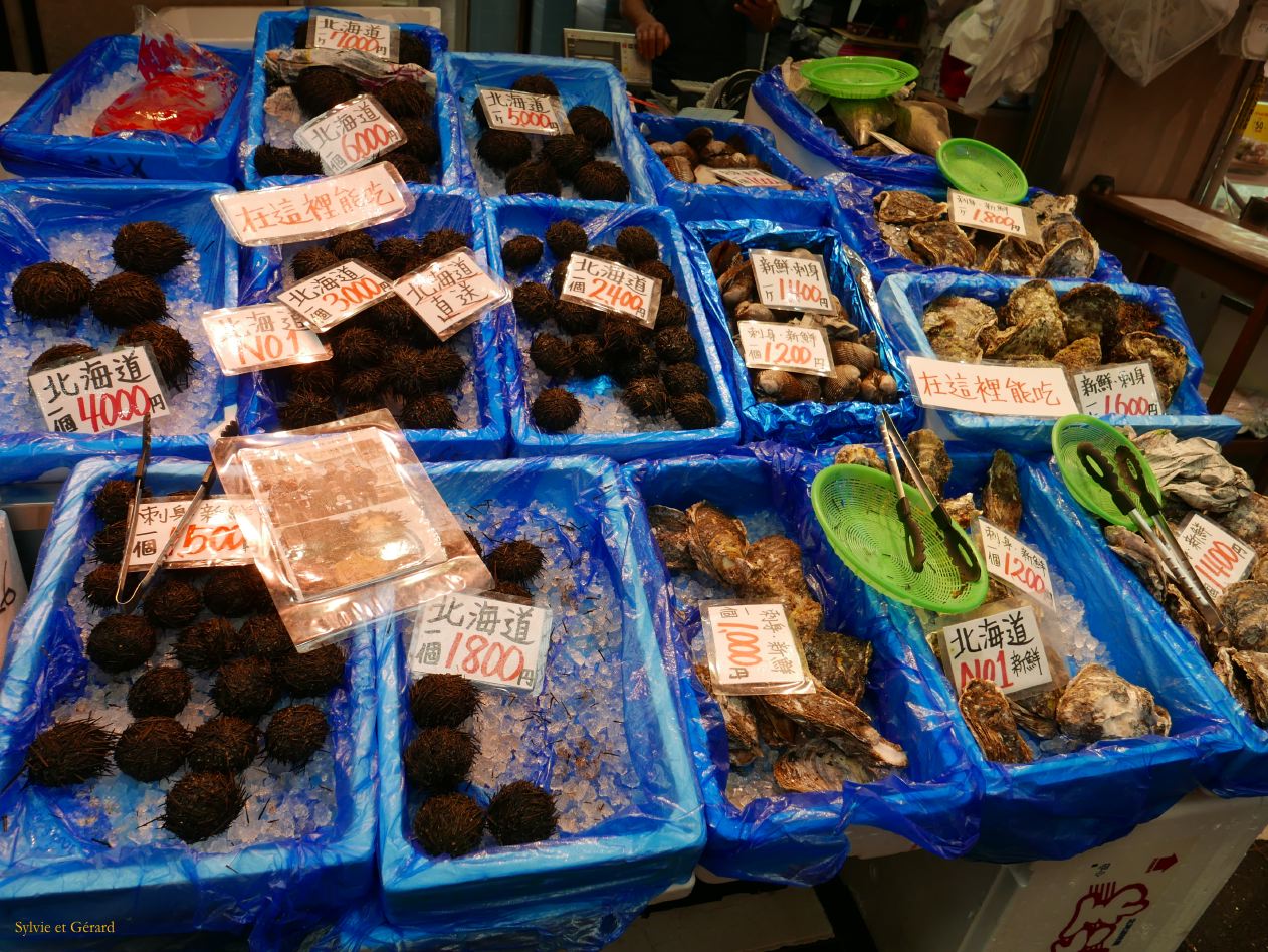 F Osaka Kurumon Market 1 