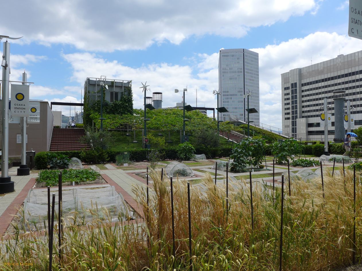 F Osaka Quartier Umeda jardins de la gare