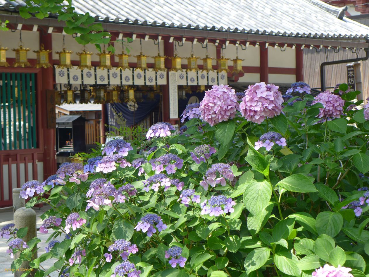 F Osaka temple Shi tenno-ji 5 