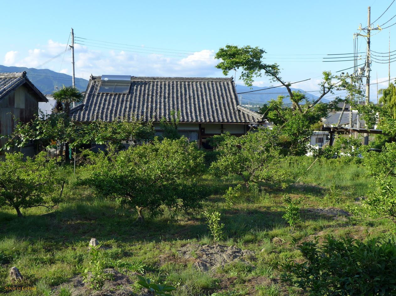B à Kudoyama 11 maison-ferme