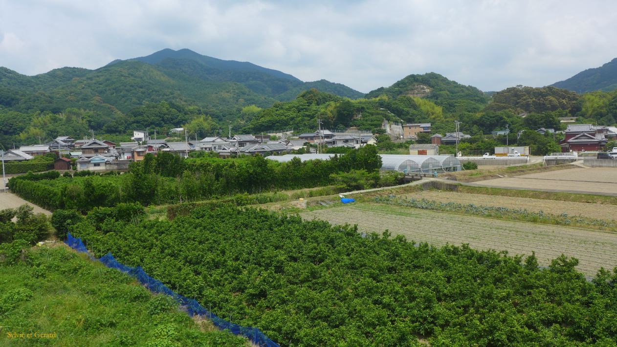 C Wakayama à Kii Tanabe en train 