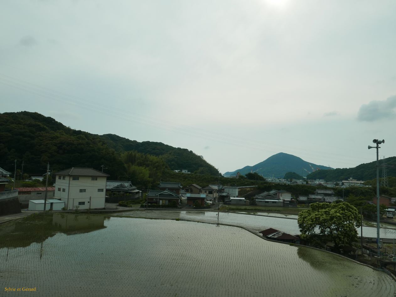 C Wakayama à Kii Tanabe en train rizières en eau