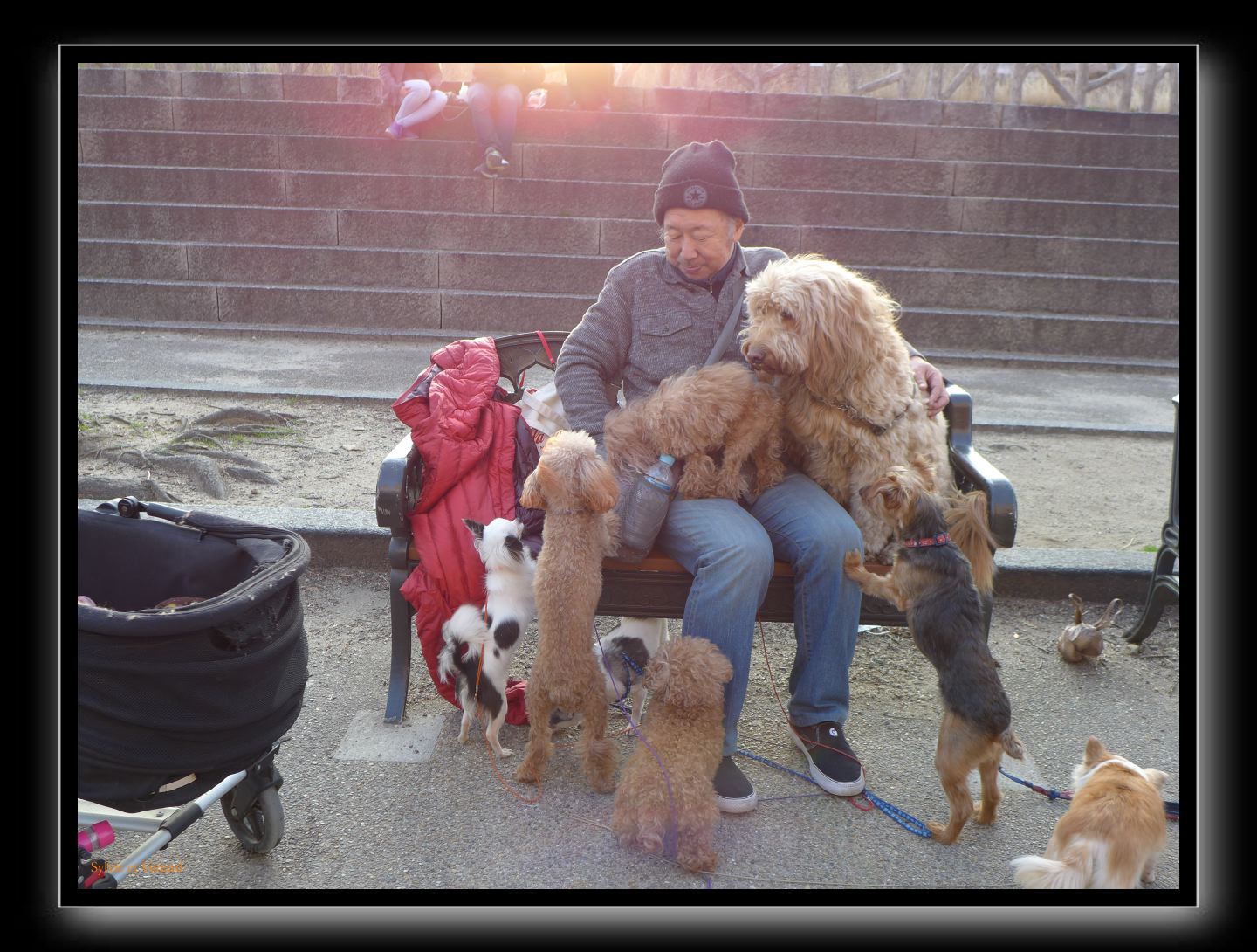 009 Osaka le chateau 