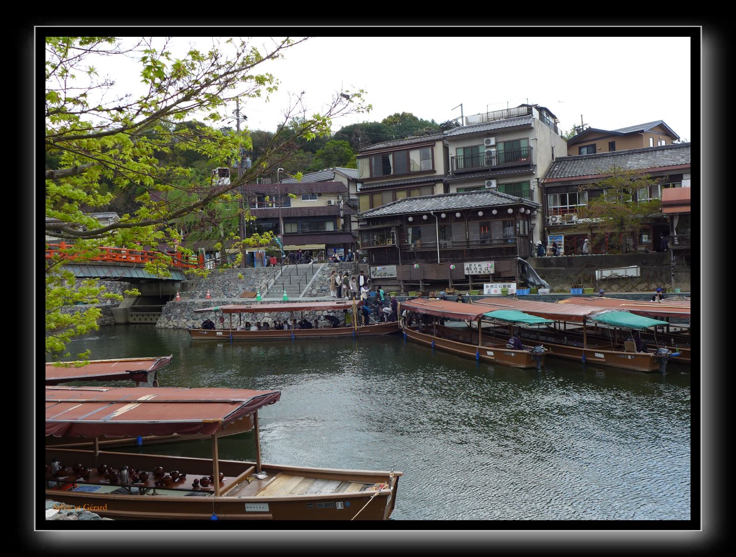 107 Uji  et ses magasins de thé vert