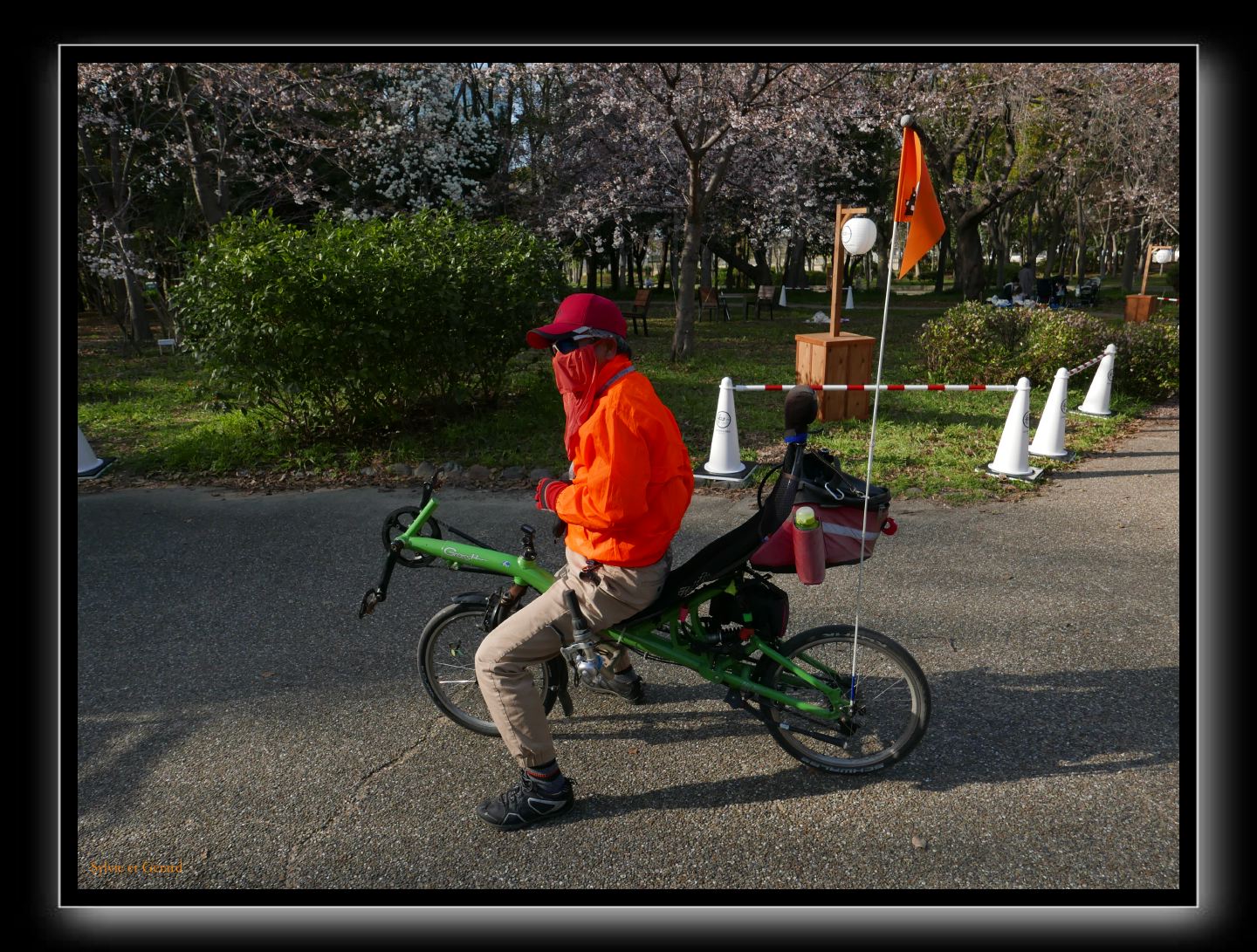 010 Osaka le chateau 