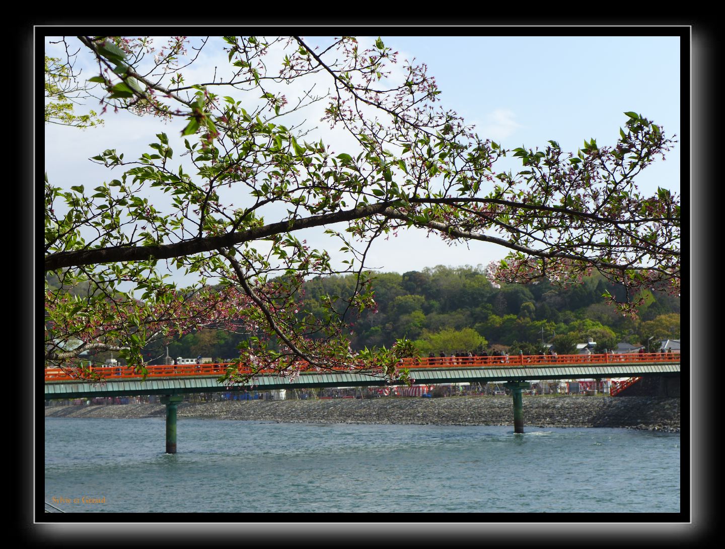 119 Uji  dernieres fleurs