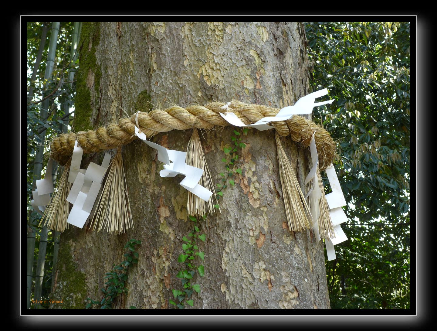 121 Uji  Ujikami shrine