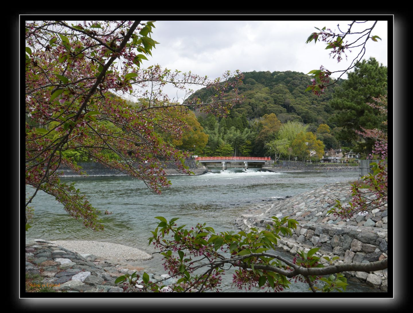 123 Uji  la rivière Uji