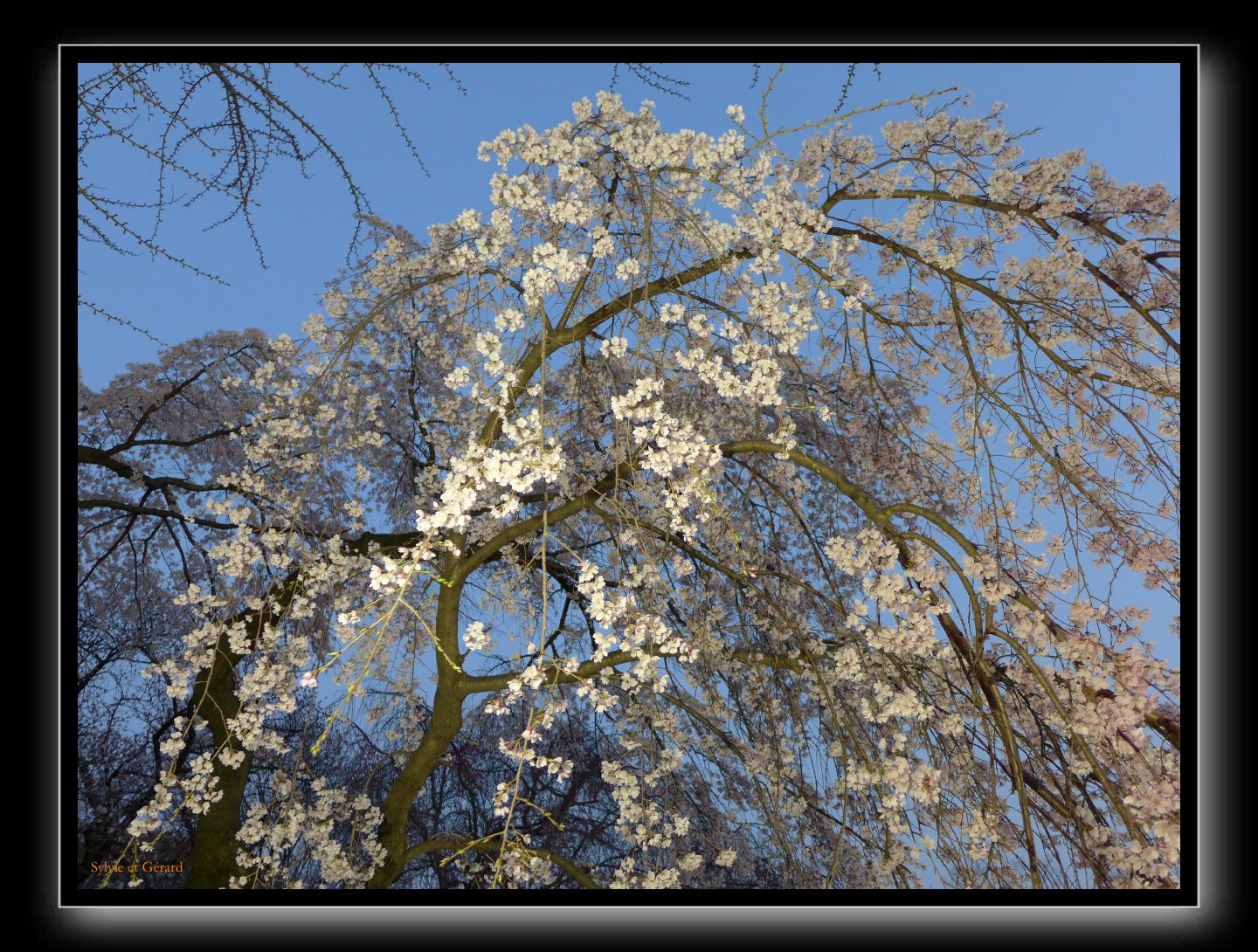 013 Osaka le chateau 