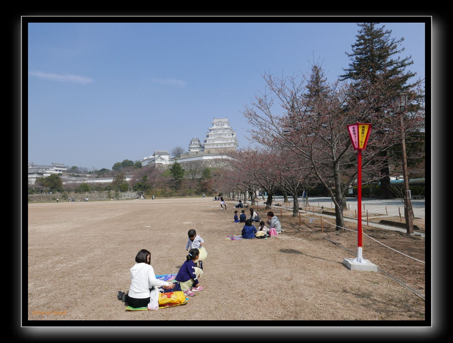 143 Himeji arrivée au château les cerisiers ne sont pas encore en fleurs 