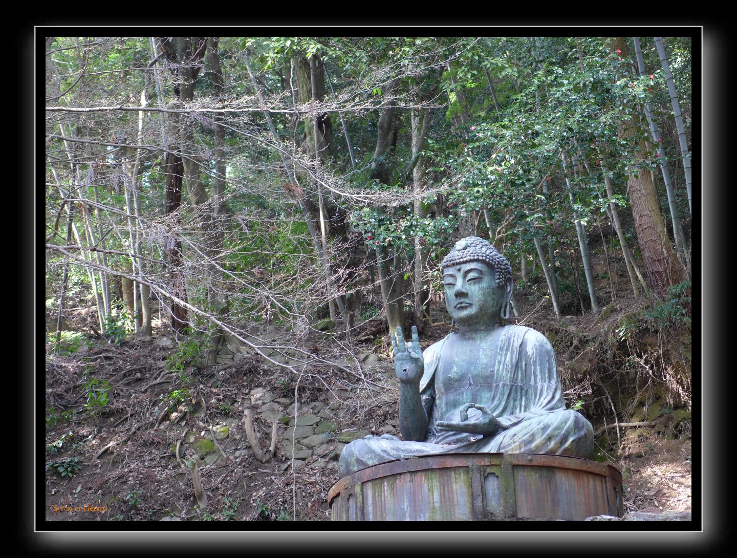151 Himeji Engyi Ji toute personne qui gravirait le Mont Shosha culminant à 371 m aurait le corps et l'esprit purifiés